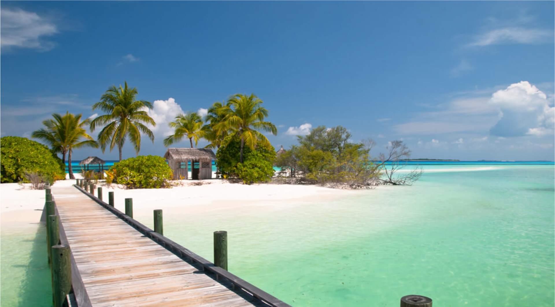 Caraibi