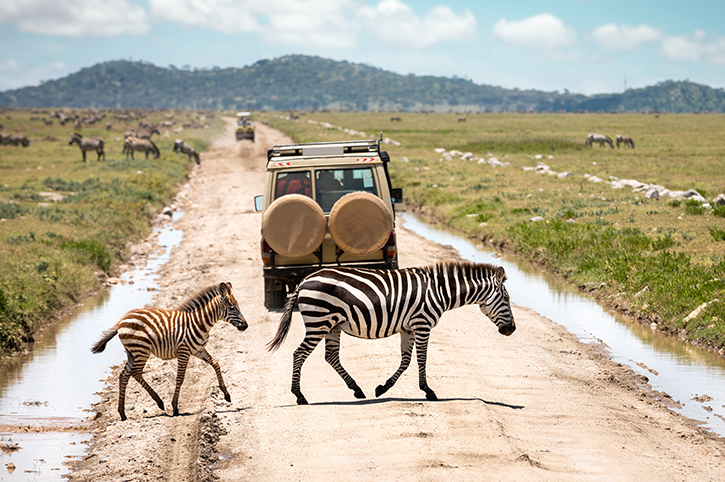 Safari in Tanzania
